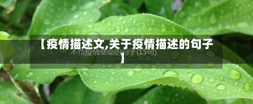 【疫情描述文,关于疫情描述的句子】