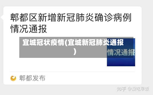 宜城冠状疫情(宜城新冠肺炎通报)