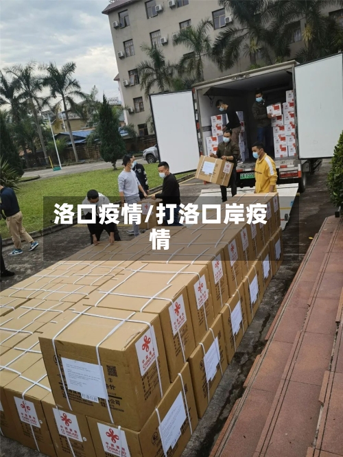 洛口疫情/打洛口岸疫情-第2张图片