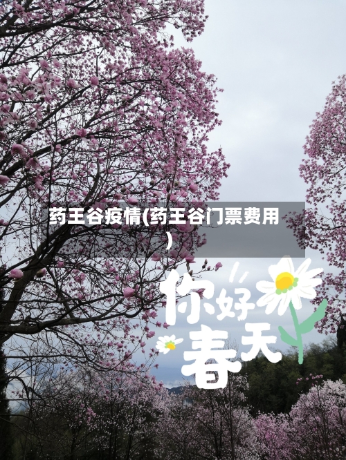 药王谷疫情(药王谷门票费用)-第2张图片