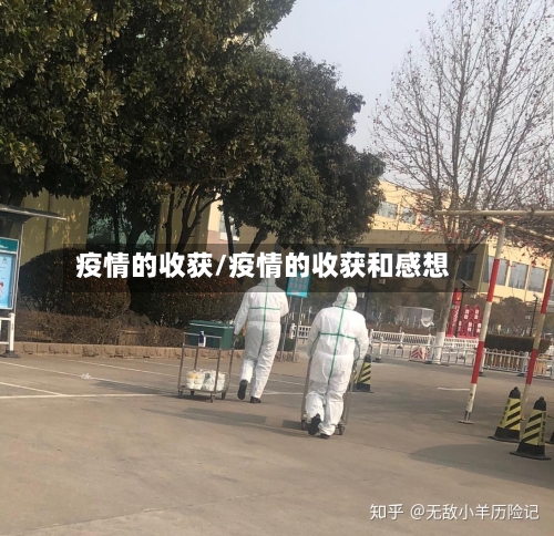疫情的收获/疫情的收获和感想