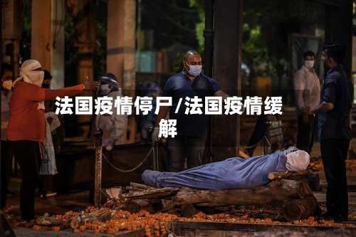 法国疫情停尸/法国疫情缓解
