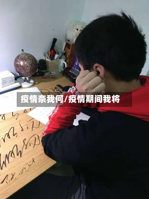 疫情奈我何/疫情期间我将