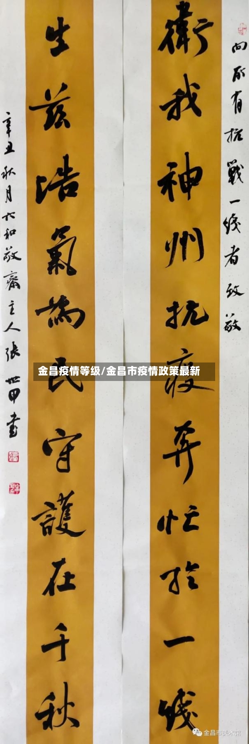 金昌疫情等级/金昌市疫情政策最新