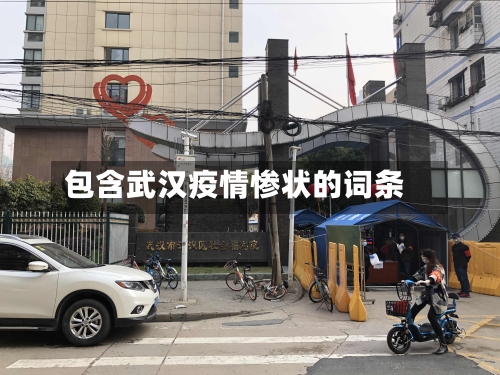 包含武汉疫情惨状的词条-第2张图片