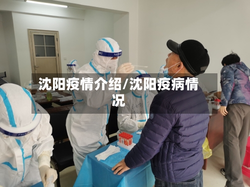 沈阳疫情介绍/沈阳疫病情况-第2张图片