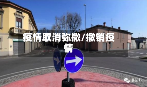 疫情取消弥撒/撤销疫情-第2张图片