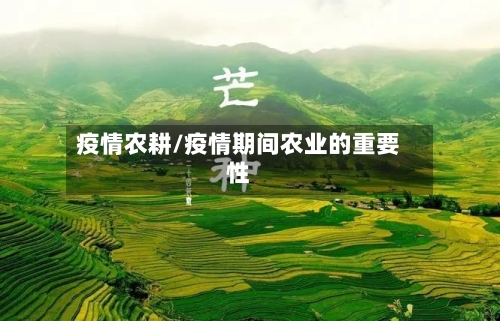 疫情农耕/疫情期间农业的重要性-第3张图片