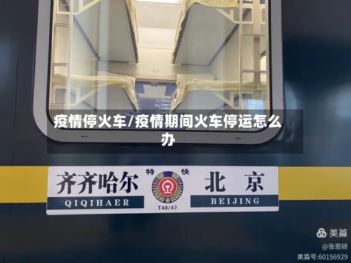 疫情停火车/疫情期间火车停运怎么办-第2张图片