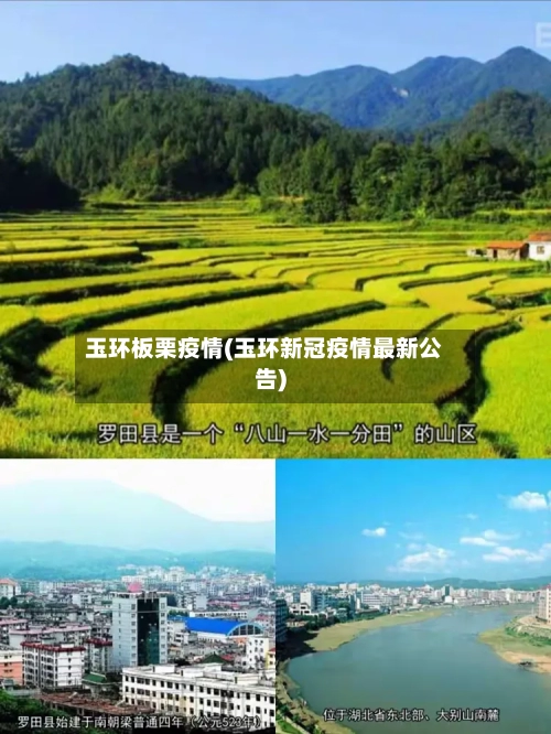 玉环板栗疫情(玉环新冠疫情最新公告)-第2张图片