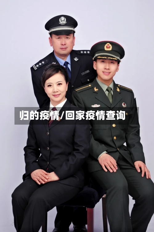 归的疫情/回家疫情查询