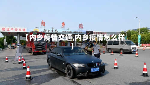 【内乡疫情交通,内乡疫情怎么样】-第1张图片