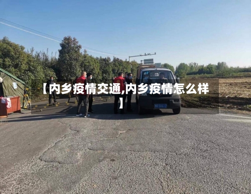 【内乡疫情交通,内乡疫情怎么样】-第2张图片