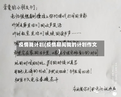 疫情我计划(疫情期间我的计划作文)