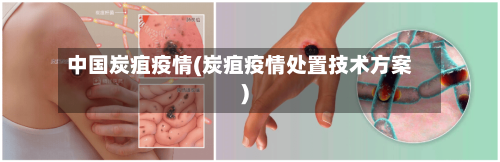 中国炭疽疫情(炭疽疫情处置技术方案)-第2张图片