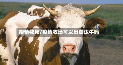 疫情牧场/疫情牧场可以出淘汰牛吗-第2张图片