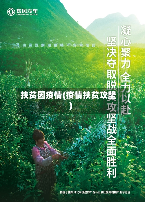 扶贫因疫情(疫情扶贫攻坚)-第2张图片