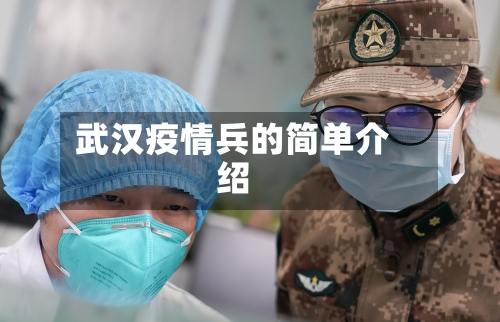 武汉疫情兵的简单介绍-第2张图片