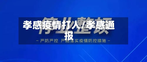 孝感疫情打人/孝感通报-第2张图片