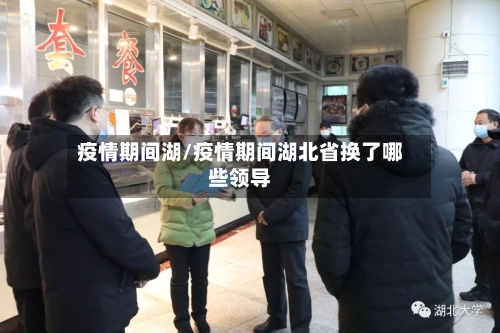 疫情期间湖/疫情期间湖北省换了哪些领导