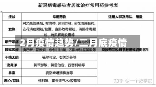 2月疫情趋势/二月底疫情