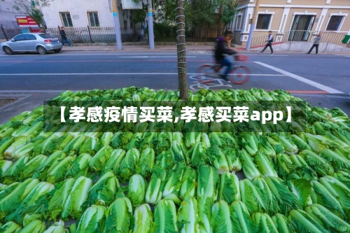【孝感疫情买菜,孝感买菜app】-第2张图片
