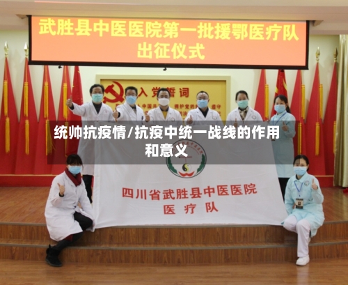 统帅抗疫情/抗疫中统一战线的作用和意义