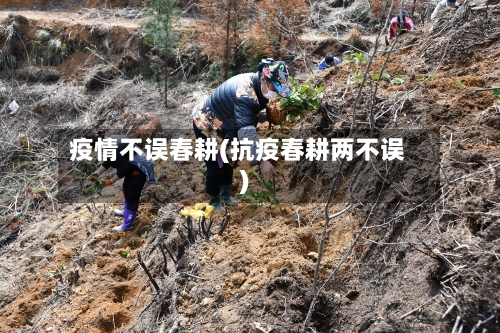 疫情不误春耕(抗疫春耕两不误)