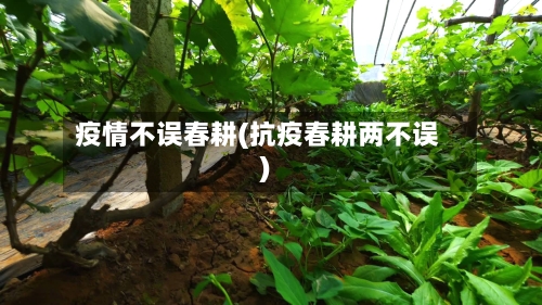 疫情不误春耕(抗疫春耕两不误)-第2张图片