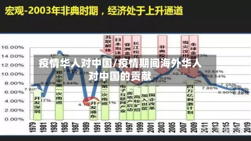 疫情华人对中国/疫情期间海外华人对中国的贡献