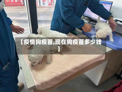 【疫情狗疫苗,现在狗疫苗多少钱】